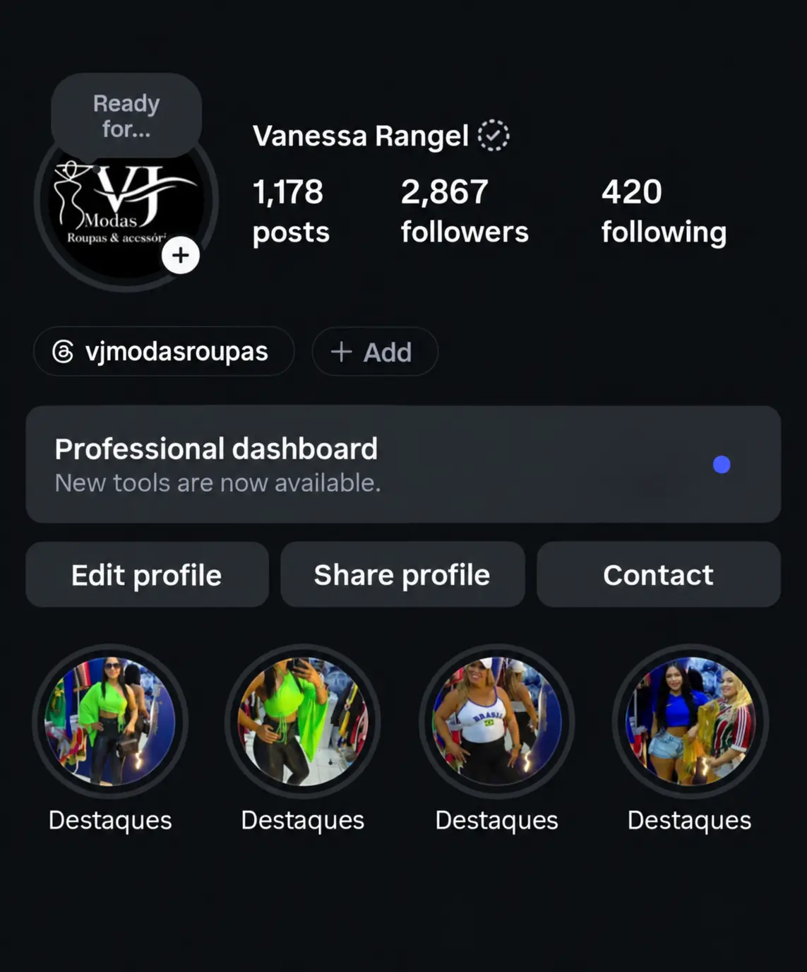 Perfil de Instagram antes da organização visual